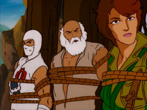 The Revenge of Cobra: The Palace of Doom (3)