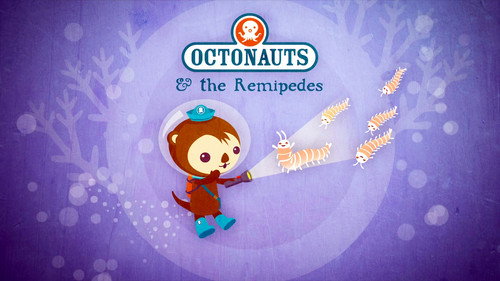 The Remipedes