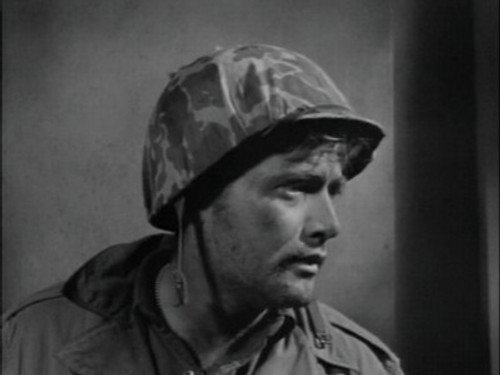 Rear Echelon Commandos