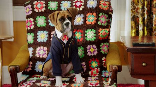 Tell Us About Your Human Day