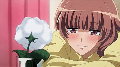 Sakura's Indie-Label Love