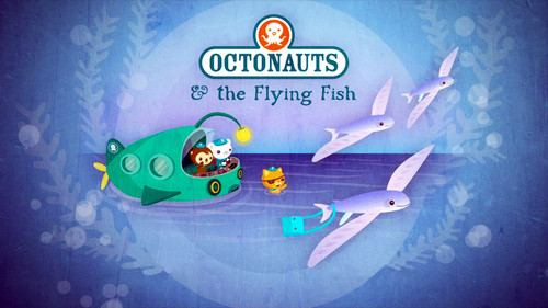 The Flying Fish