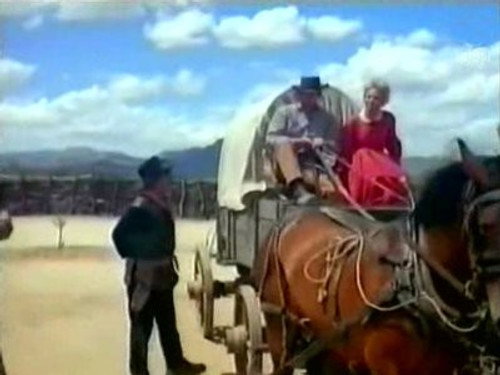 Sudden Country