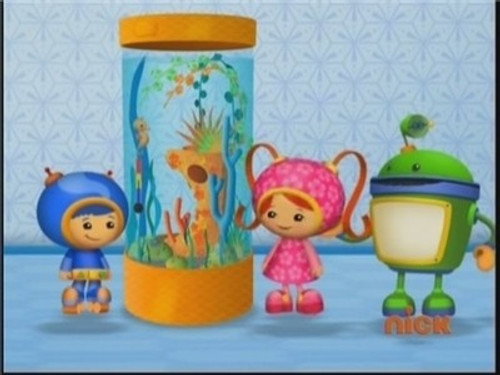 The Aquarium Fix-It